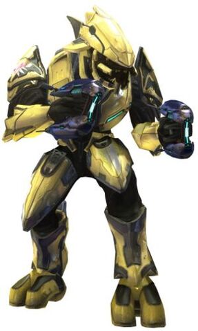 File:1207098358 Zealot elite.jpg