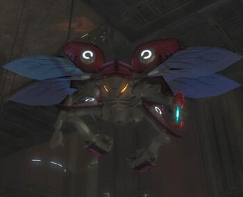 Drone rosso.jpg