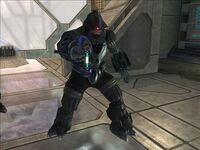 Stealth brute