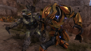 A222Sangheili