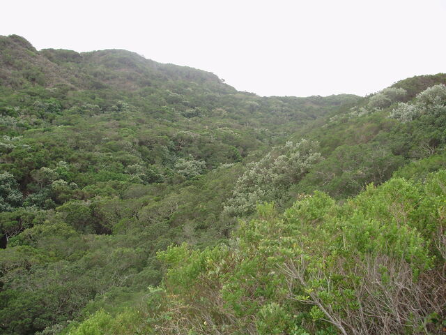 File:P3170030.jpg