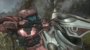 Denise2.jpg