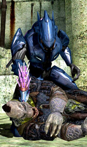 For-all-sangheili-960.jpg