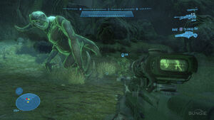 Night vision spartan