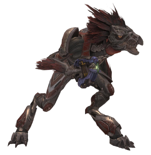 Skirmisher Major.png