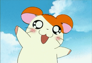 Hamtaro Hamha