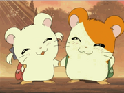 Colitas y Hamtaro.png