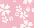 Thumbnail for version as of 15:14, April 13, 2011