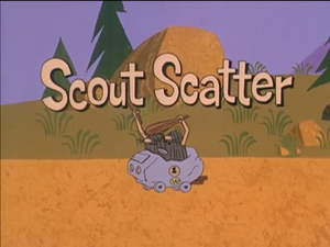 Scout scatter