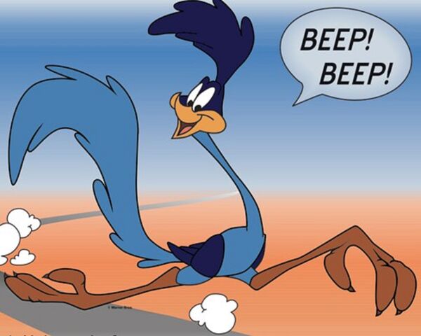File:.028 Road Runner & Zachary.jpg