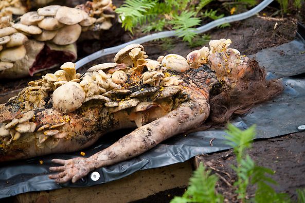 File:1x02 MushroomMan.jpg