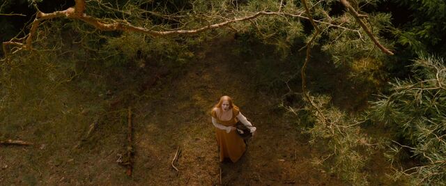 File:Hansel sees Mina.jpg
