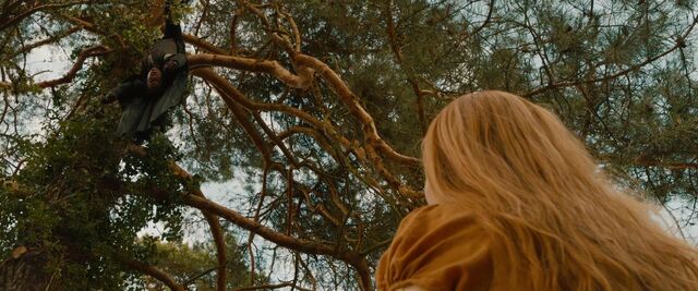 File:In a tree.jpg