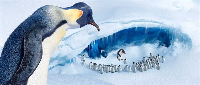 File:2006 happy feet 024.jpg