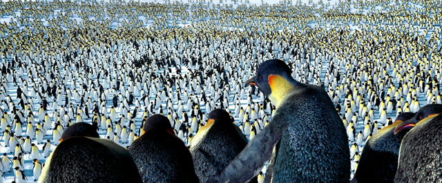 File:Happy-feet-disneyscreencaps.com-6634.jpg