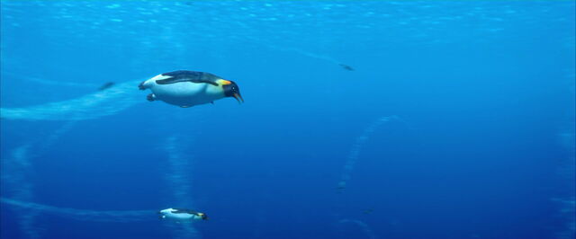 File:Happy-feet-disneyscreencaps.com-3078.jpg
