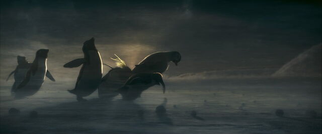 File:Happy-feet-disneyscreencaps.com-8350.jpg