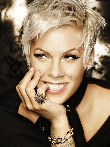 File:P-nk-close-up.jpg
