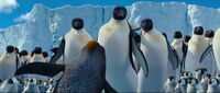 Happy-feet2-disneyscreencaps.com-717