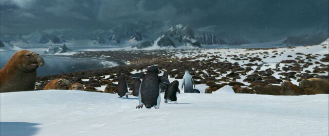 File:Happy-feet-disneyscreencaps.com-8291.jpg
