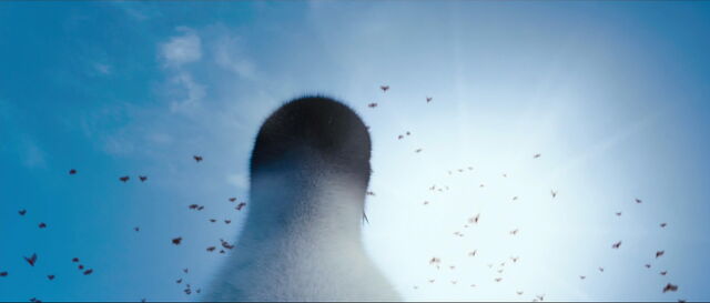 File:Happy-feet2-disneyscreencaps.com-5891.jpg