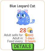 Blue Leopard Cat New