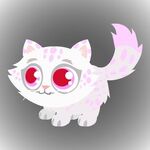 Albino Persian Cat