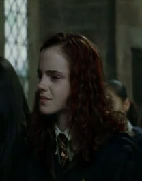 Waillaatcedricdiggory'sfuneral