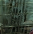 Thumbnail for version as of 20:42, December 18, 2011