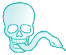 Berkas:DM.png
