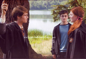 Harry5.9.jpg