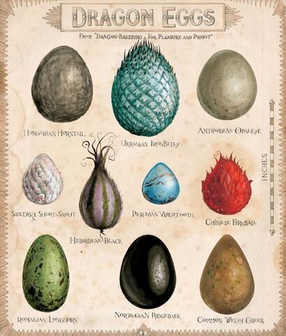 File:Dragon eggs.jpg