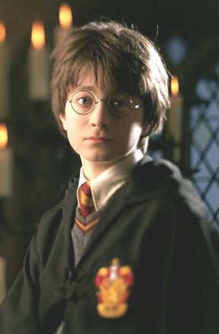 File:Harry year one.jpg