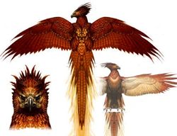 Fawkes 002.jpg
