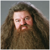 Hagrid