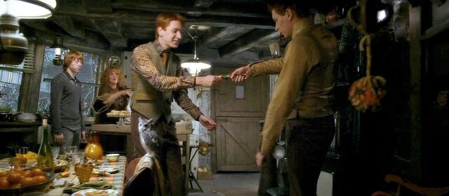 File:Harry-potter-half-blood-fred&george.jpg