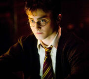 Harry5.5.jpg