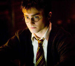 Harry5.5.jpg