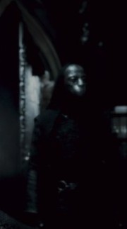 Gibbon.jpg