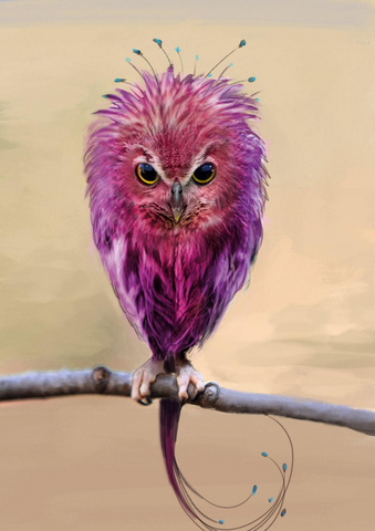 File:Fwooper concept art.png