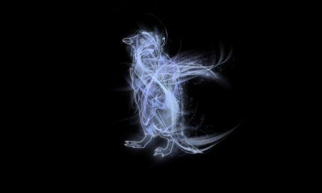 Datei:Patronus Pinguin.jpg
