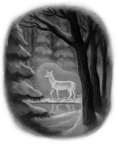 File:Silverdoe.jpg