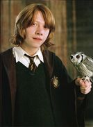 362px-Ron-and-his-owl.jpg