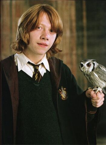 Bestand:362px-Ron-and-his-owl.jpg