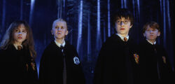 WB F1 HermioneMalfoyHarryRon DetentionInTheForbiddenForest 3223