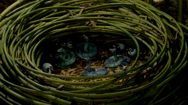 File:Occamy nest FB.png