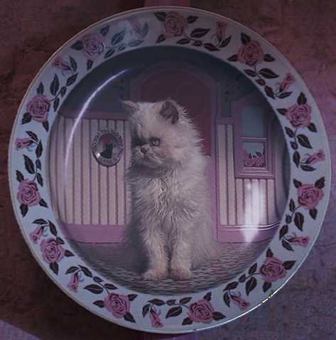 File:KittenPlate.png