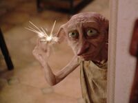 Dobby magic.jpg