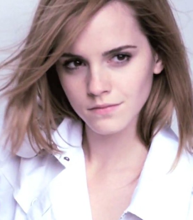 Image - Emma Watson (Burberry 2010).jpg | Harry Potter Wiki | FANDOM ...