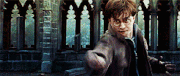 Confringo.gif